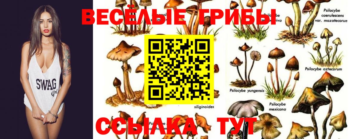 Янаул  Псилоцибиновые грибы ЛСД  наркота  Вход с VPN 